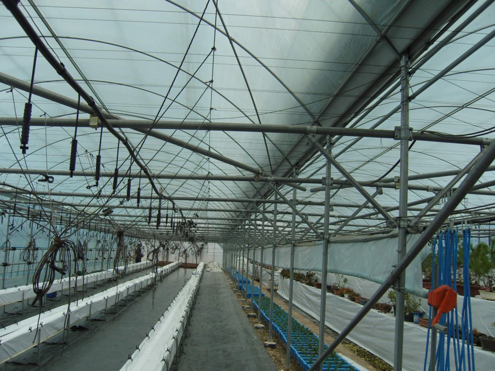 ffe6c0156f43ae6415722f487ca39c09_1747028679_8929.JPG